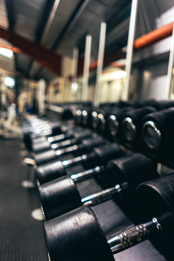 FITNESS SCHMITT Studio mit Gewichtshanteln